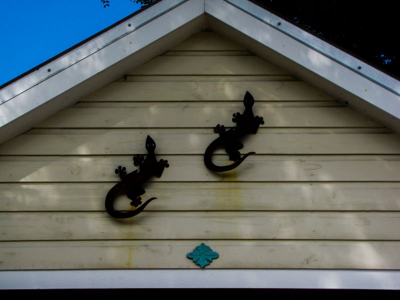 Shiplap Siding Installation