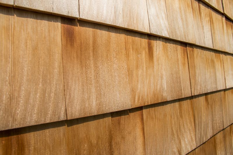 Wood Siding Paneling